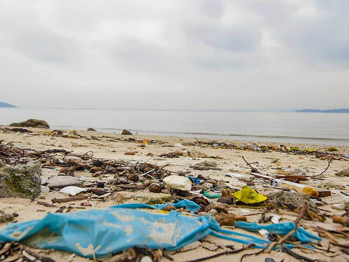 Praia de São Bento - Ilha do Governador (RJ)